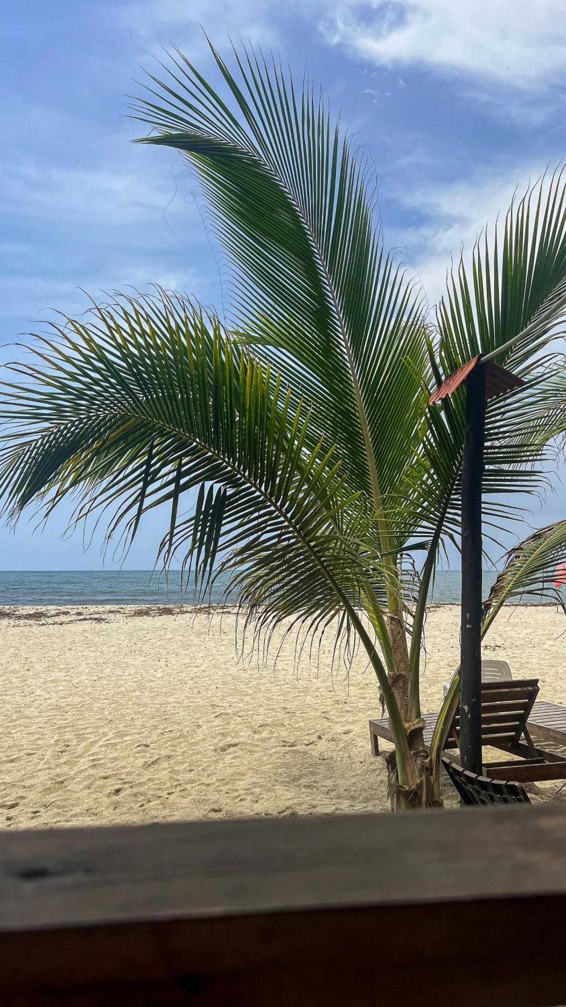 Hostal Mocambo Beach Guachaca Екстер'єр фото